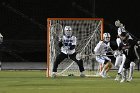 MLax vs Anna Maria  Men’s Lacrosse season opener vs Anna Maria College. : MLax, lacrosse